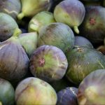 660495314_1364872565666204_8664996757590616485_n