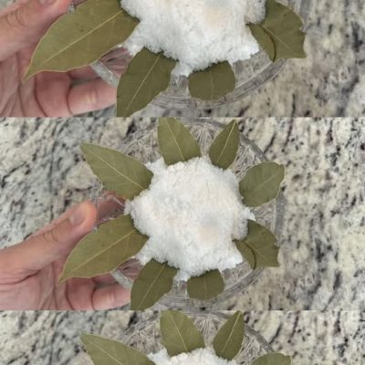 Hojas de laurel y sal: una combinación que vale oro. Este truco de abuela sigue siendo útil hoy y no merecía ser olvidada