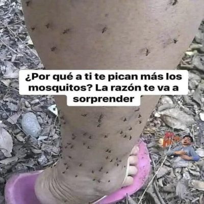 ¿Por qué a ti te pican más los mosquitos? La verdadera razón detrás de este molesto misterio
