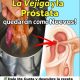 Limpia tu Vejiga y Fortalece tu Próstata con Remedios Naturales