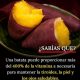 BATATA: UNA FUENTE PODEROSA DE VITAMINA A