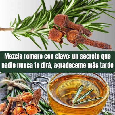 BENEFICIOS DE LA MEZCLA DE ROMERO Y CLAVO DE OLOR PARA LA SALUD