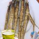 Fortalecimiento del sistema respiratorio con remedios caseros: cuidado natural de los pulmones y las vías respiratorias