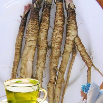 Fortalecimiento del sistema respiratorio con remedios caseros: cuidado natural de los pulmones y las vías respiratorias