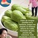 ¿CUÁL ES EL NOMBRE DE ESTE VEGETAL EN TU PAÍS? COME POR UN MES Y VERÁS LOS RESULTADOS: BENEFICIOS DE LA CHAYOTA PARA LA SALUD