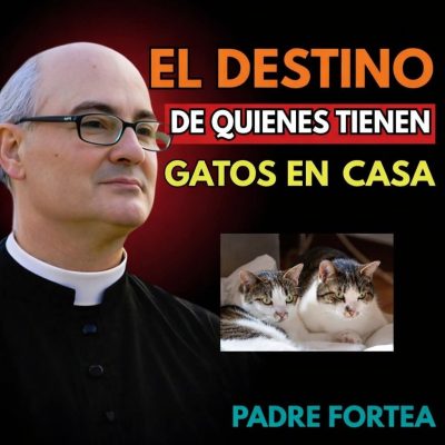 Duermes con tu gato? Esta es la peor enfermedad que podrías contraer sin saberlo
