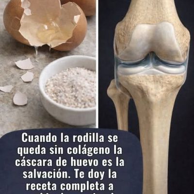 Hierve las cáscaras de los huevos es una opción que te ahorrara dinero.