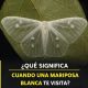 El significado de encontrarse con una mariposa blanca