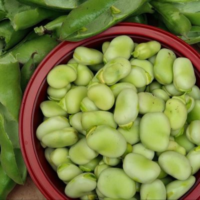 Habas: fortalecen los huesos, reducen los azúcares y el colesterol y mejoran la memoria.