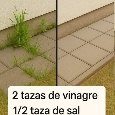 Cómo Hacer Herbicida Casero Súper Efectivo