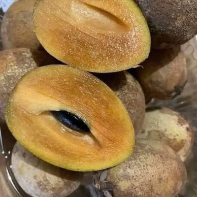 Nutriólogos recomiendan el níspero: lo que realmente puede aportar a tu salud