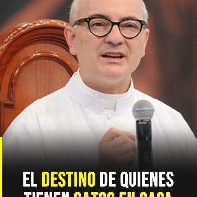 El profundo simbolismo espiritual que muchas personas relacionan con tener gatos en casa