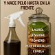 Tónico Capilar de Laurel, Romero y Aguacate: ¡Haz Crecer tu Cabello de Forma Natural!