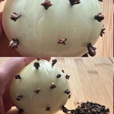 Clavo y cebolla: una tradición atemporal con beneficios modernos