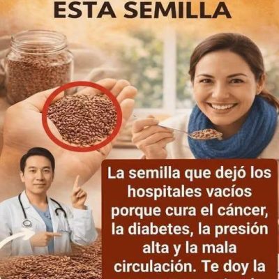 Chía: beneficios, propiedades, cómo consumirla y qué puede aportar a tu salud