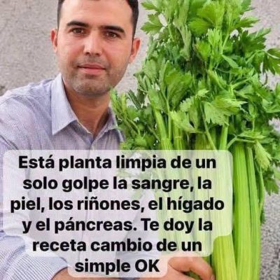 5 razones para beber té de apio