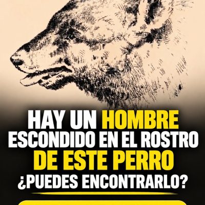 ¿Puedes encontrar al hombre escondido en el rostro de este perro?