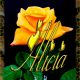 Nombre en Rosas,Alicia