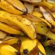 Beneficios que esconden las fibras blancas de la cáscara del banano