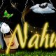 Portadas para tu Facebook con tu nombre!!! Nahum